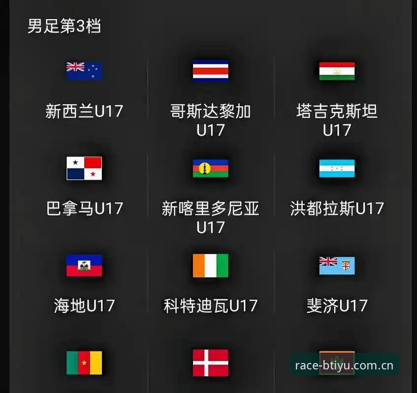 掌握U17世界杯观赛实用技巧，从抽签解读到赛事体验全攻略
